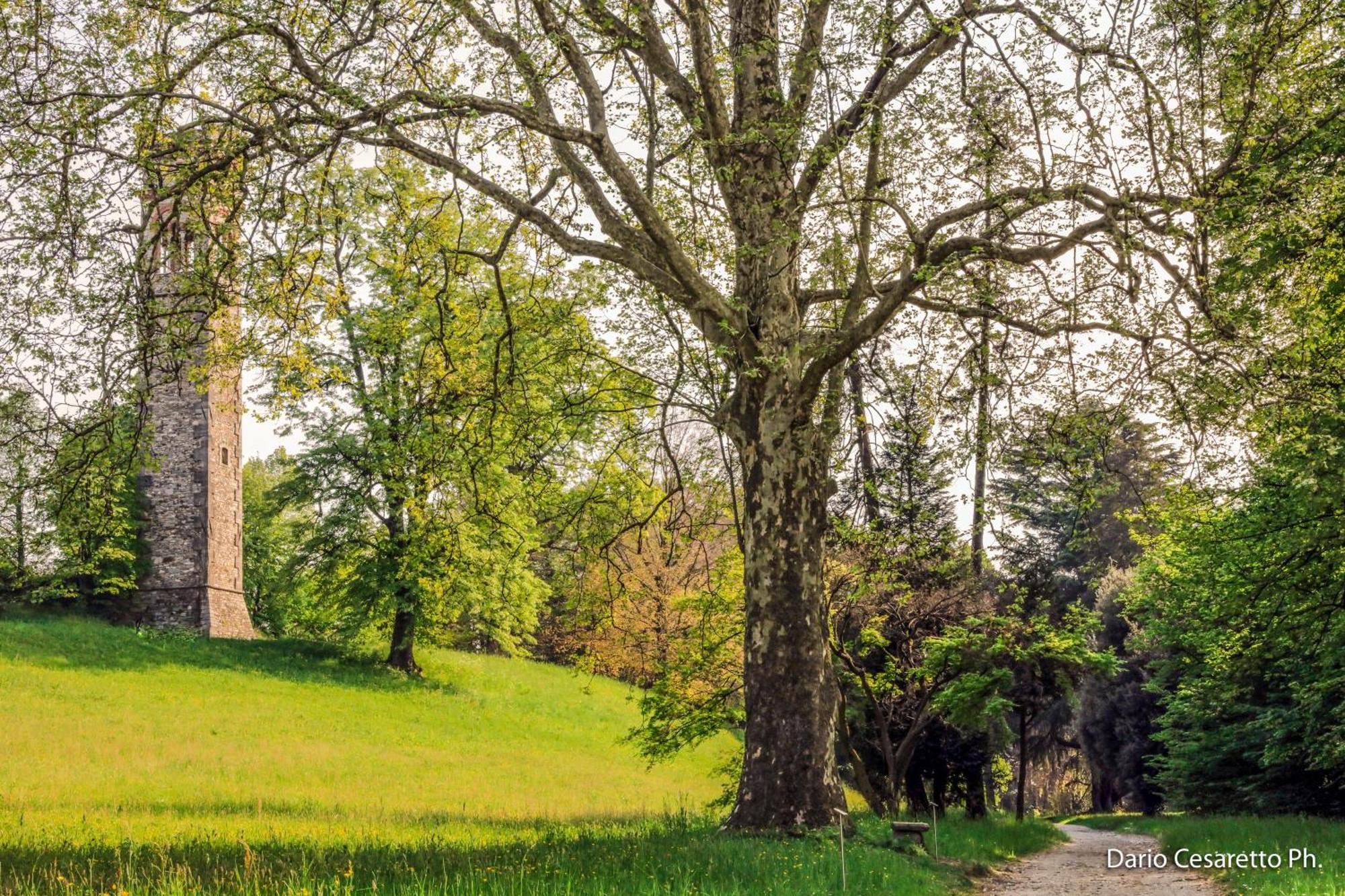 Villa Cagnola Schianno Esterno foto